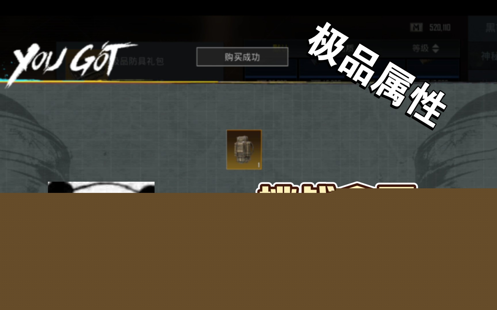 揭秘《绝地求生》辅助卡盟:挑战全网游戏公平的底线