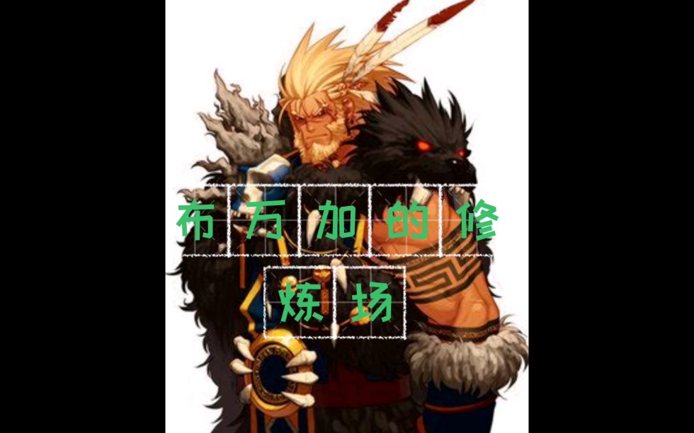 布万加的修炼场经验-深入解析布万加修炼场的实战技巧