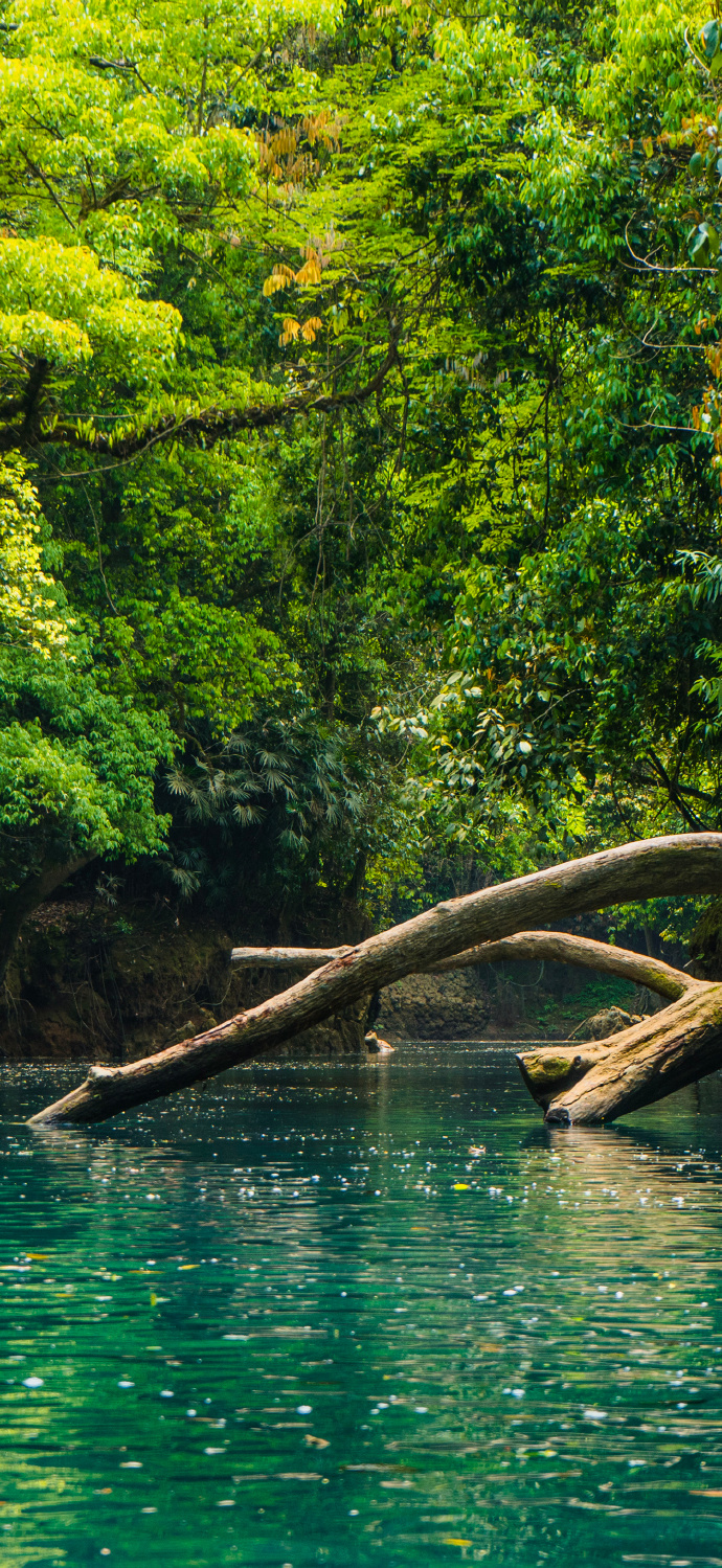 DNF官网登录入口及最新资讯-DNF官网登录入口详解与玩家指南