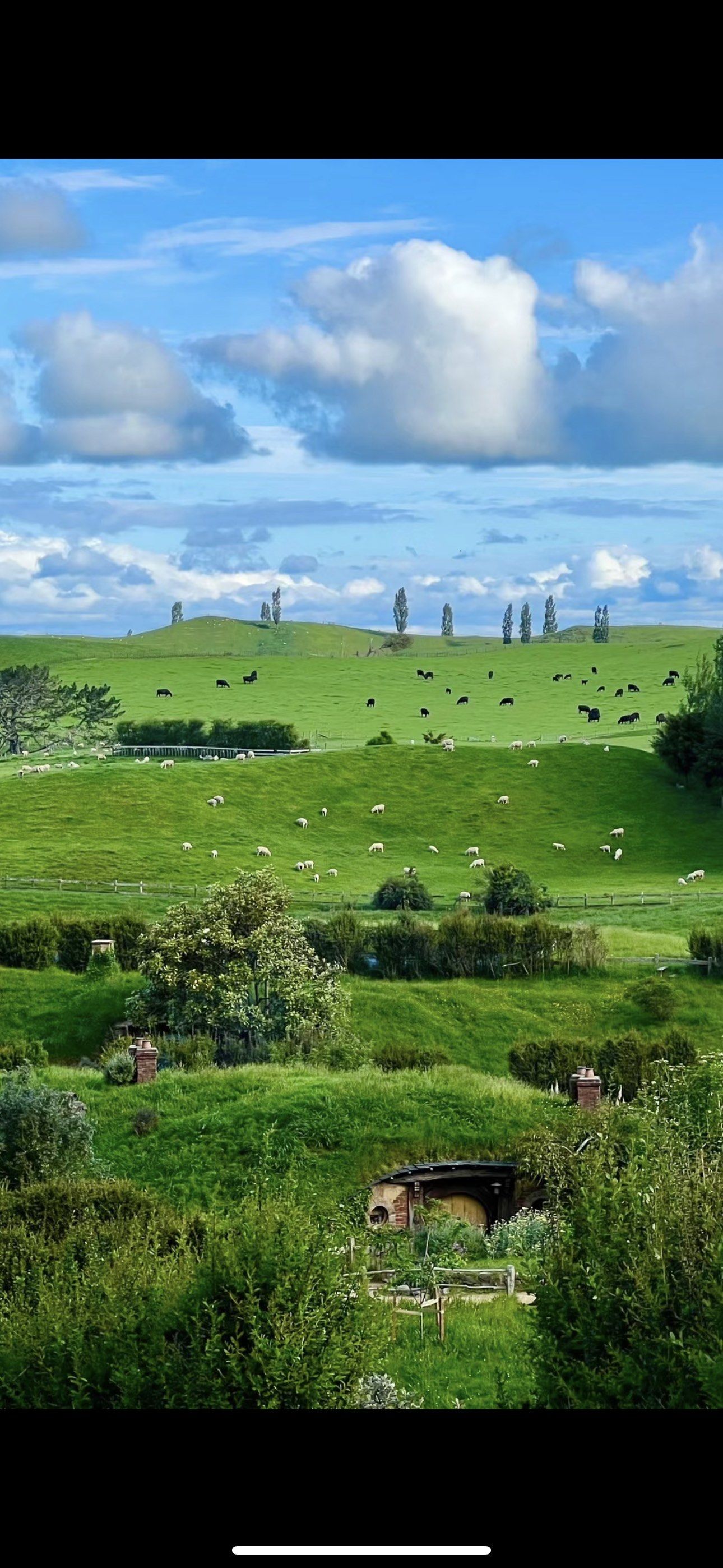 绝地求生小说：生存与刺激的完美结合-绝地求生题材小说推荐与剧情解析