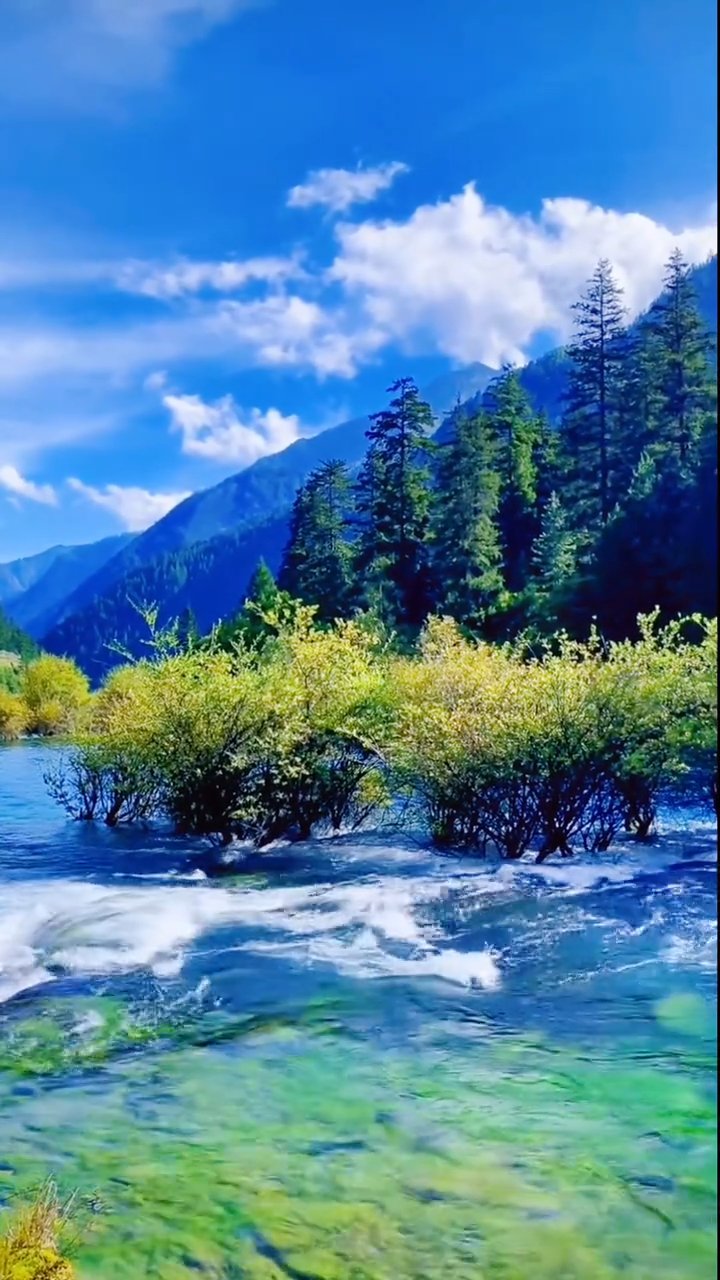 绝地求生端游版最新资讯-绝地求生端游版玩法与下载指南